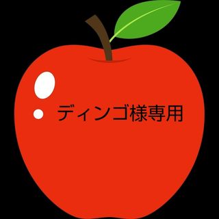 ディンゴ様専用林檎あまみつき大サイズ10個入り(フルーツ)