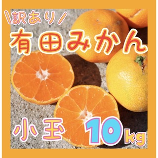 訳あり 和歌山県産 有田みかん 10キロ 小玉サイズ ミカン フルーツ(フルーツ)