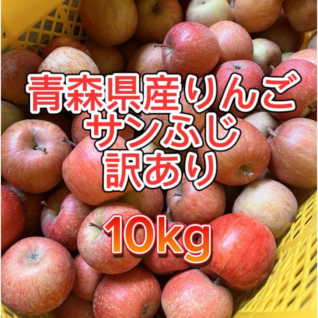 【産地直送】青森県産りんご  家庭用  10kg 食品/飲料/酒の食品(フルーツ)の商品写真