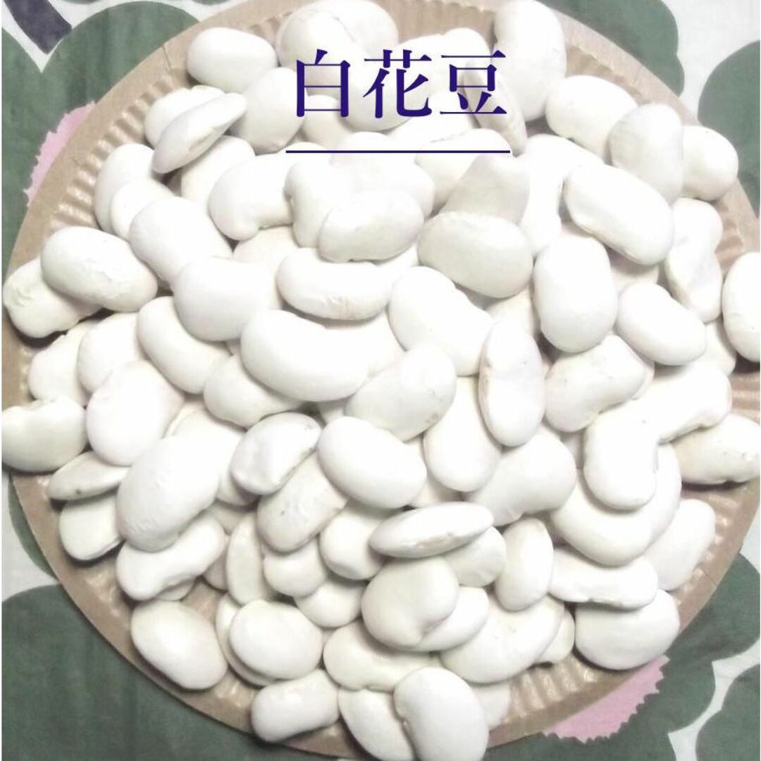 白花豆　2022年産 北海道北見産　800g 食品/飲料/酒の食品(野菜)の商品写真