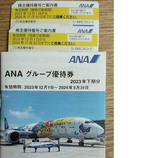 エーエヌエー(ゼンニッポンクウユ)(ANA(全日本空輸))のANA 株主優待券　2枚　グループ優待券(その他)