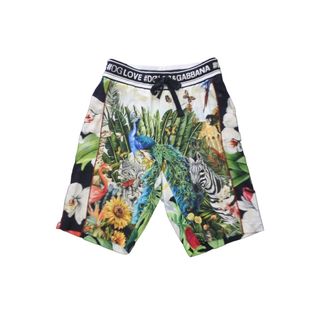 ドルチェアンドガッバーナ(DOLCE&GABBANA)のDOLCE&GABBANA ドルチェアンドガッバーナ ショートパンツ アニマル柄 サイズ46 G7SLA/HH7XR GYVAAT/HH7XS 美品 中古 57346(ショートパンツ)