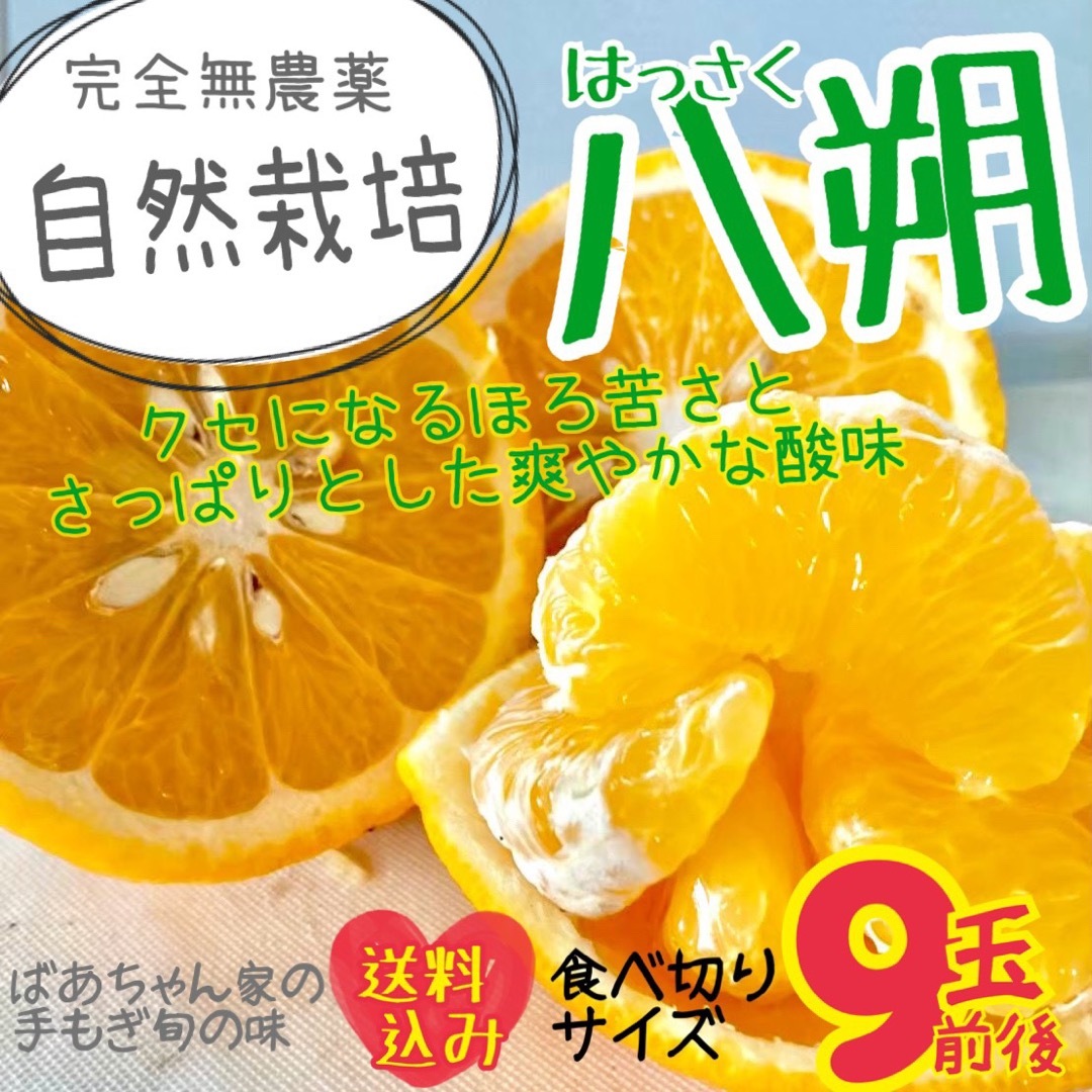 【送料込み】無農薬 八朔 自然栽培 家庭用