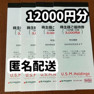 USMH 株主優待  12000円分 匿名配送 ユナイテッド スーパーマーケット(その他)