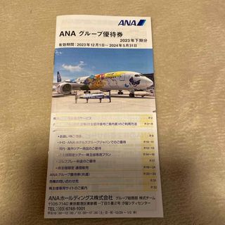 エーエヌエー(ゼンニッポンクウユ)(ANA(全日本空輸))のANAグループ優待券 冊子1冊(その他)