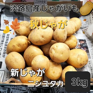 淡路島産じゃがいも🥔ニシユタカ(M～2L)3kg(野菜)