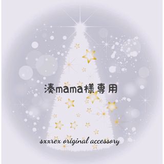 湊mama様専用❤オーダー(チャーム)