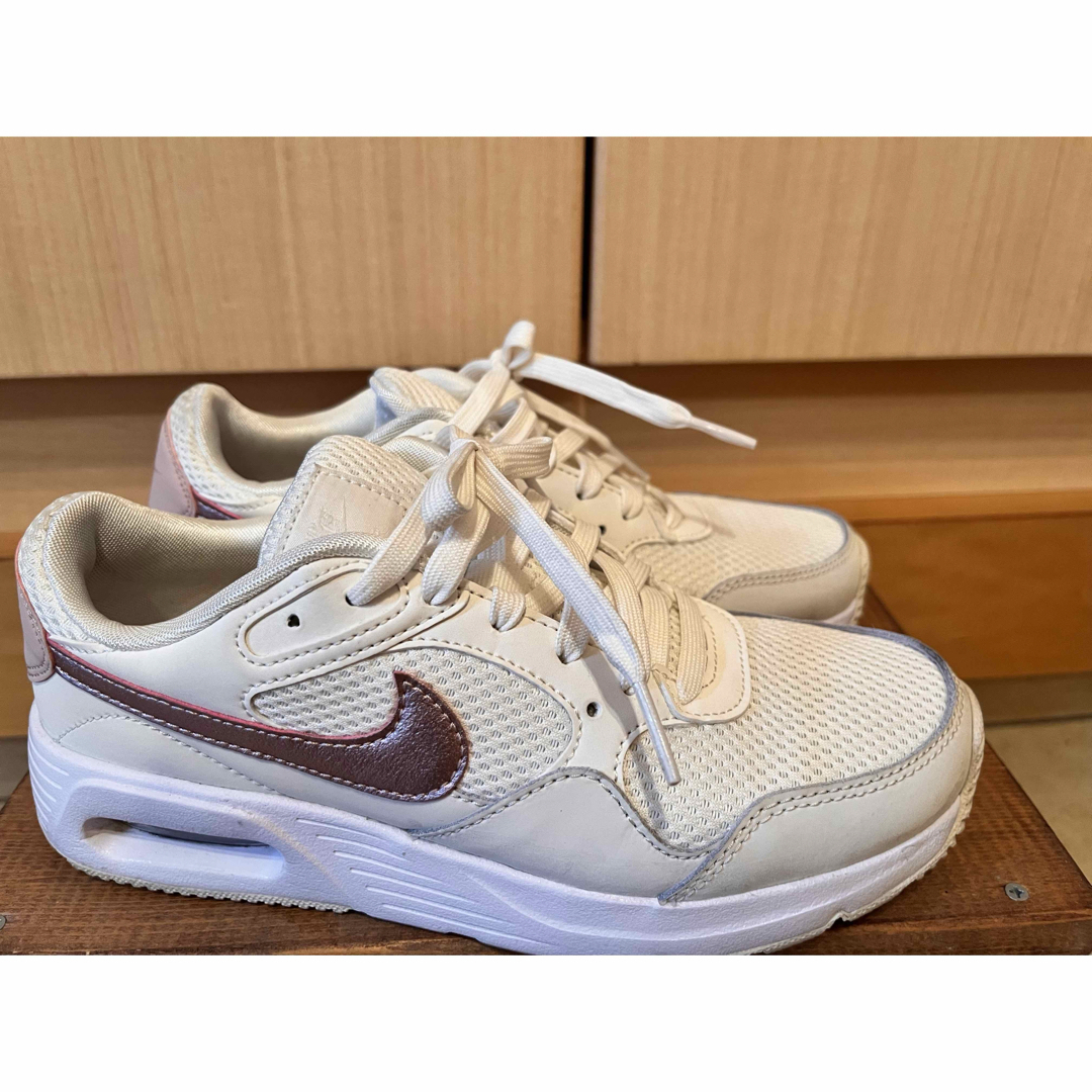 エア マックス レディース スニーカー NIKE DV6842 100