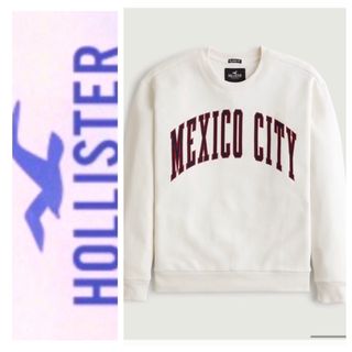 ホリスター(Hollister)のXXL◎新品正規品◎ホリスター◎HOLLISTER ◎スエットトレーナー◎送料込(スウェット)