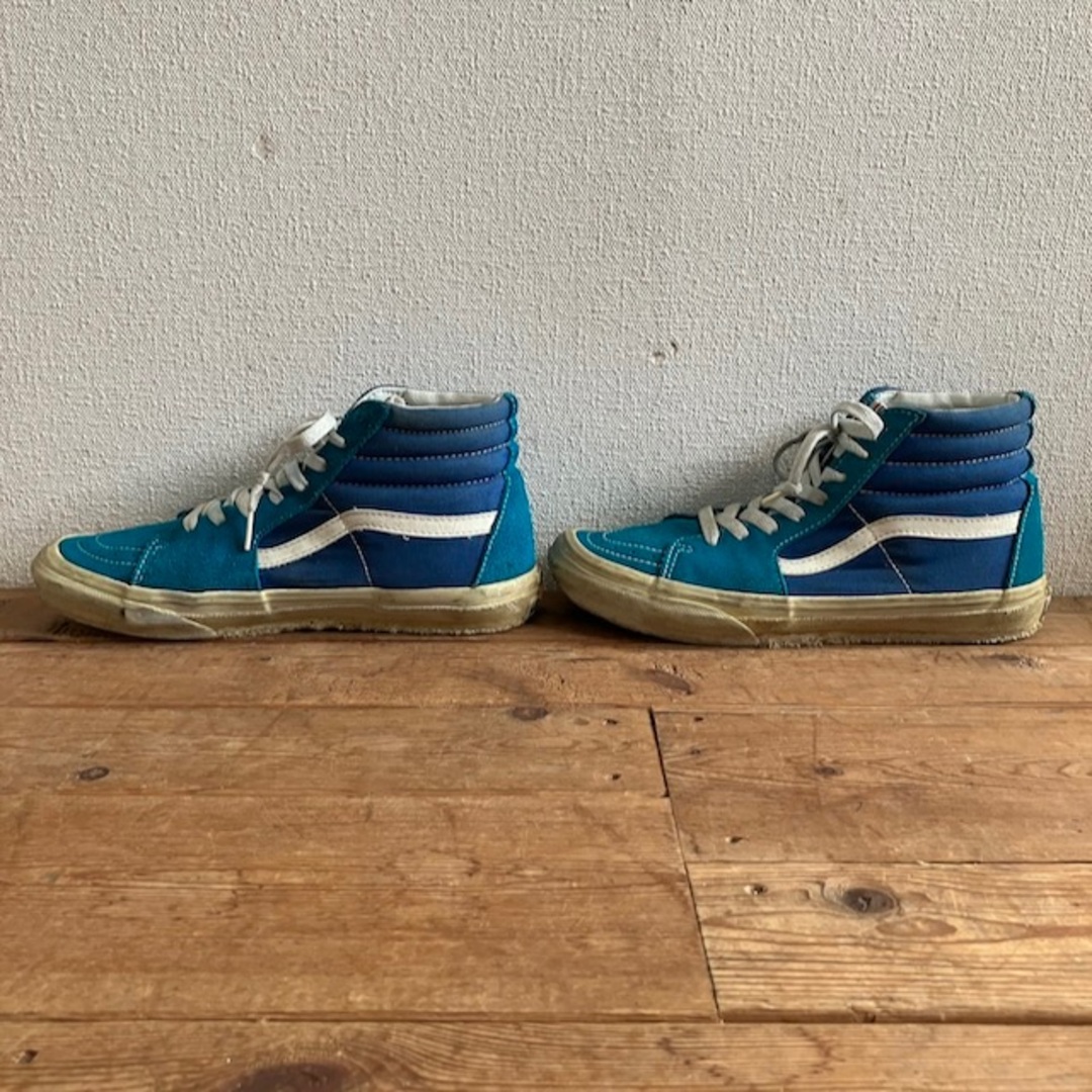 VANS(ヴァンズ)のvans world's #1 skateboard shoe スケートボード レディースの靴/シューズ(スニーカー)の商品写真