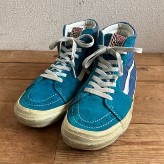 ヴァンズ(VANS)のvans world's #1 skateboard shoe スケートボード(スニーカー)