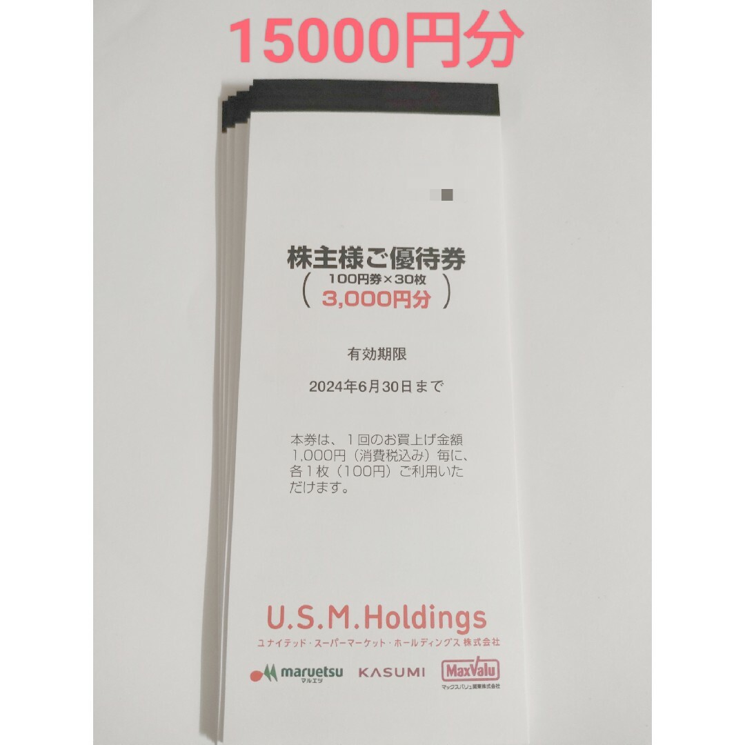 優待券/割引券最新　USMH 株主優待　15000円分