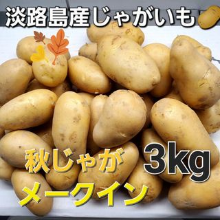 淡路島産じゃがいも🥔メークイン3kg(野菜)