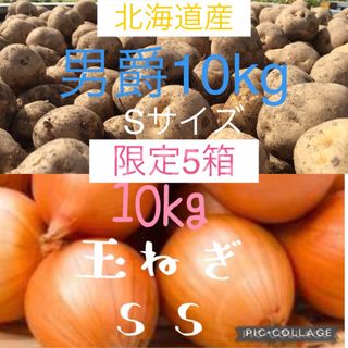 北海道産じゃがいも10kg玉ねぎ10kg(野菜)