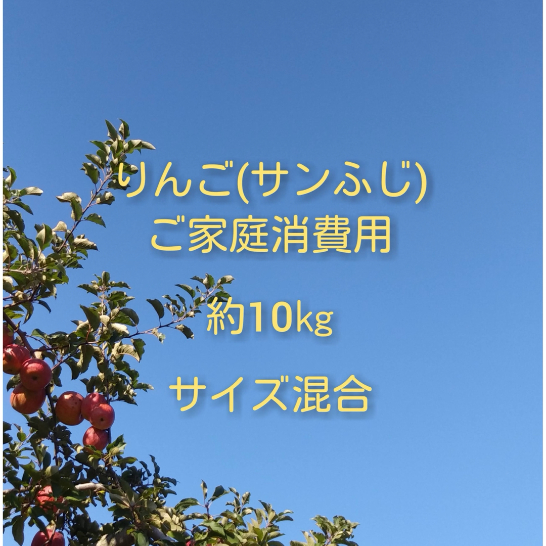 りんご(サンふじ)訳ありご家庭消費用 約10kg 食品/飲料/酒の食品(フルーツ)の商品写真