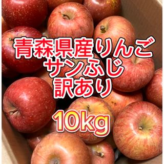 【産地直送】青森県産りんご  家庭用  10kg(フルーツ)