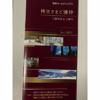 西武　株主優待　冊子+内野席券5枚(その他)