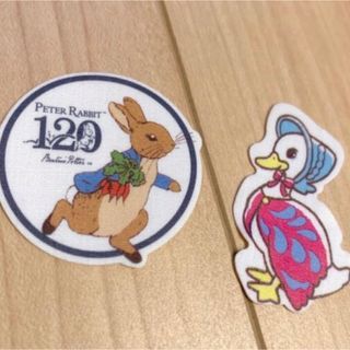 ピーターラビット(PETER RABBIT（TM）)のピーターラビットとあひるのジマイマ(キャラクターグッズ)