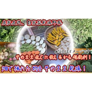 農家自家製お任せ乾燥野菜　200g！(乾物)