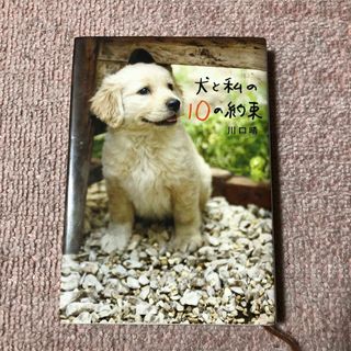 犬と私の１０の約束(その他)