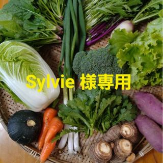 Sylvie 様専用ページです(野菜)