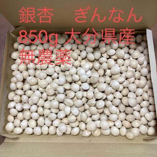 銀杏　ぎんなん　850g 大分県産　無農薬　茶碗蒸し(野菜)