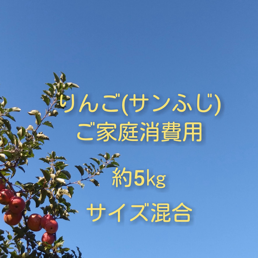 りんご(サンふじ)訳ありご家庭消費用 約5kg 食品/飲料/酒の食品(フルーツ)の商品写真