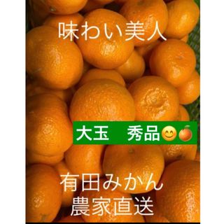 有田みかん農家直送☆ブランド味わい美人大玉秀品箱込み10キロ(フルーツ)