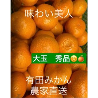 有田みかん農家直送☆ブランド味わい美人大玉秀品箱込み5キロ(フルーツ)