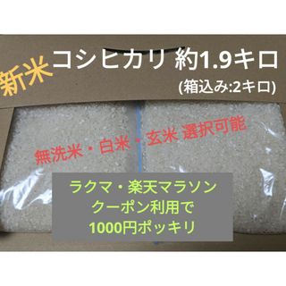 令和5年度新米コシヒカリ1.9キロ(無洗米可)(米/穀物)