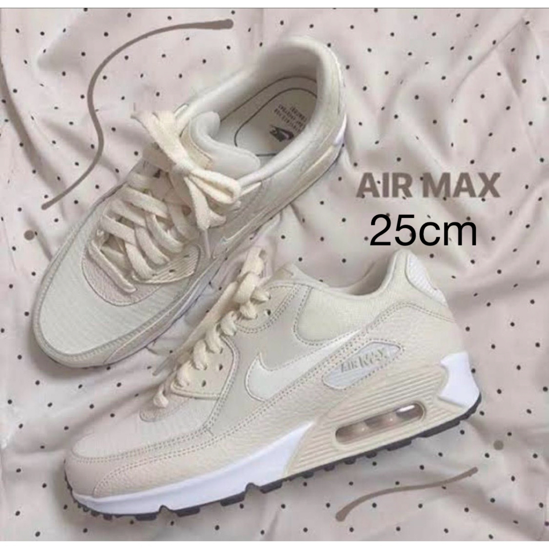 NIKE WMNS AIR MAX ナイキエアマックス 25cm