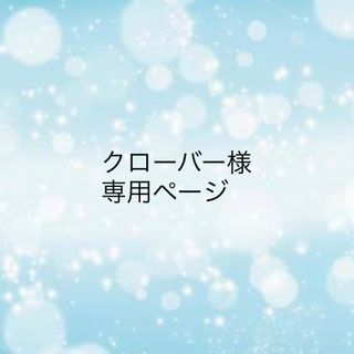 クローバー様専用です(その他)