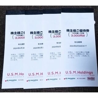 USMホールディングス　株主優待券　12000円分(ショッピング)