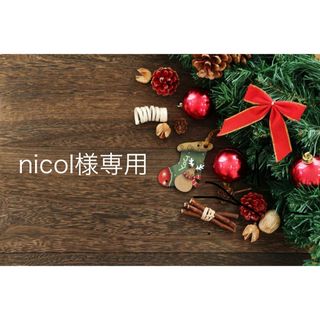 nicol様専用ページ(バッグ)