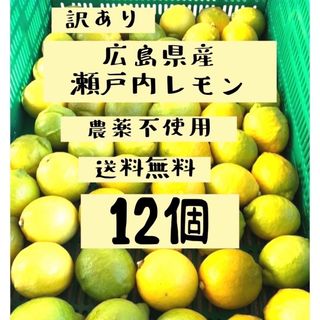 瀬戸内　広島瀬戸内レモン　12個入りセット　防腐剤不使用　訳あり(フルーツ)