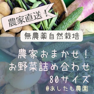 農家おまかせ新鮮野菜詰め合わせ(野菜)