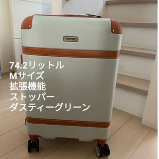 スーツケース　M 中型　ダブルファスナー レトロ　ダスティーグリーン　かわいい(スーツケース/キャリーバッグ)