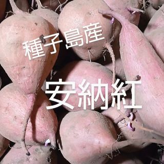 種子島産安納紅ミニ・2Sサイズ混合1キロ(野菜)