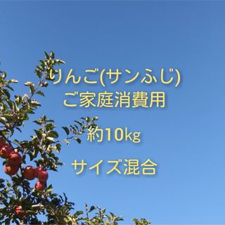 りんご(サンふじ)訳ありご家庭消費用 約10kg(フルーツ)