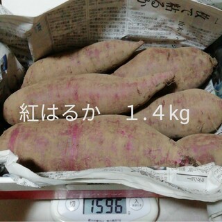 紅はるか1.4kg(箱など含まず)　さつまいも　焼き芋美味しい　無農薬自然栽培(野菜)