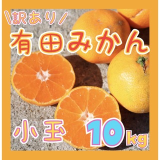 わかやま 有田みかん 10kg「小玉」わけあり フルーツ 柑橘 ミカン(フルーツ)