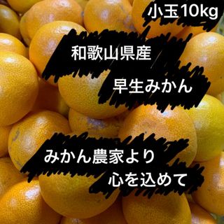 和歌山県産 有田みかん 箱込み約10kg 小玉 訳あり(フルーツ)