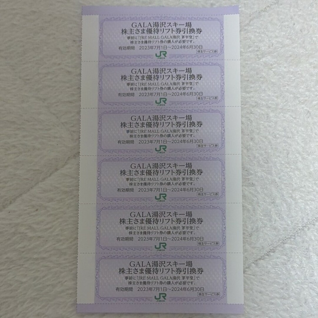 GARA湯沢スキー場 リフト割引引換券 チケットの施設利用券(スキー場)の商品写真