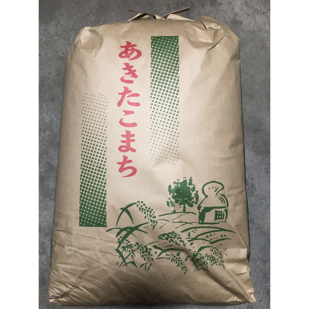 令和5年 秋田県産 新米 あきたこまち 一等米 減農薬栽培米 精米20kg米/穀物