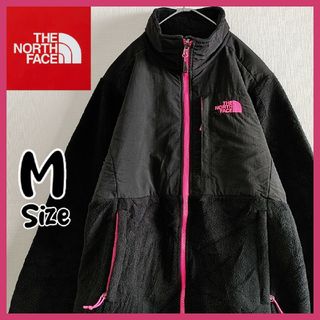 ザノースフェイス(THE NORTH FACE)のノースフェイス　フルジップ　デナリ　フリースジャケット　黒　Mサイズ　US古着(ブルゾン)