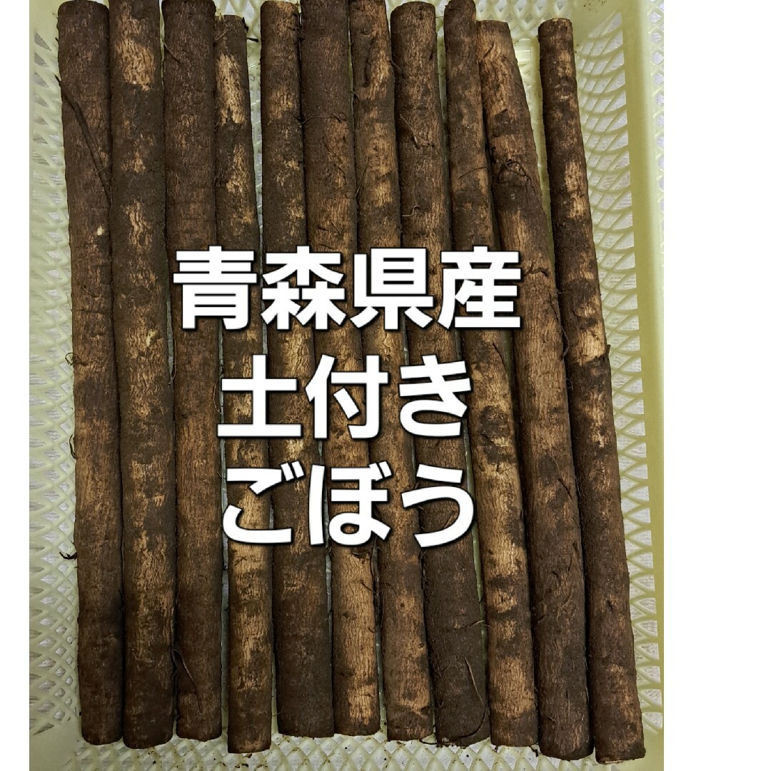 青森県産ごぼう 食品/飲料/酒の食品(野菜)の商品写真