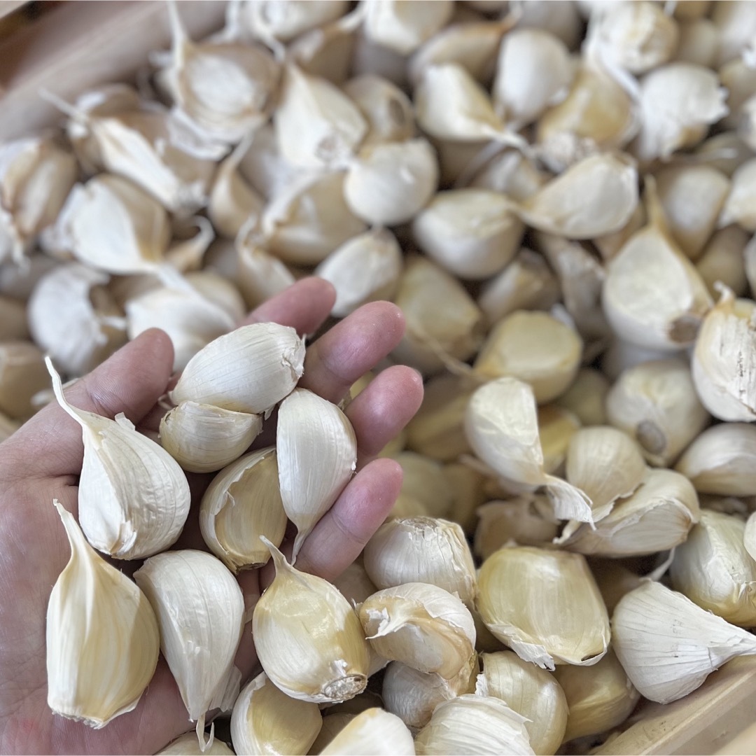 新物！　青森県産　ホワイト六片　乾燥　ニンニク　バラ　500g　減農薬 食品/飲料/酒の食品(野菜)の商品写真