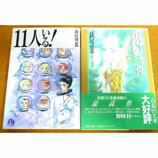 11人いる! 銀の三角 セット 萩尾望都 完結 SF 少女マンガ 文庫本 耽美