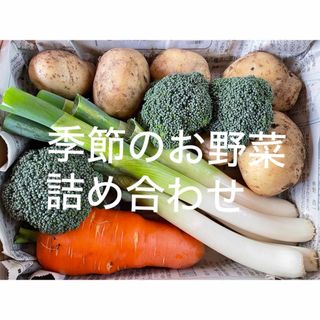 季節のお野菜詰め合わせ コンパクトボックス 愛媛県産(野菜)