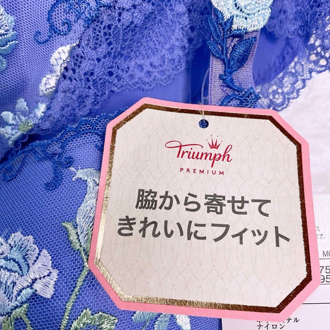 Triumph(トリンプ)のトリンプ　プレミアムデザイン0068 ブラ＆ボーイズレングスショーツE75L レディースの下着/アンダーウェア(ブラ&ショーツセット)の商品写真